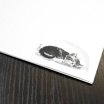 Amazon | A5リングノート 中浜稔 猫 ネコ 墨絵作家 アート